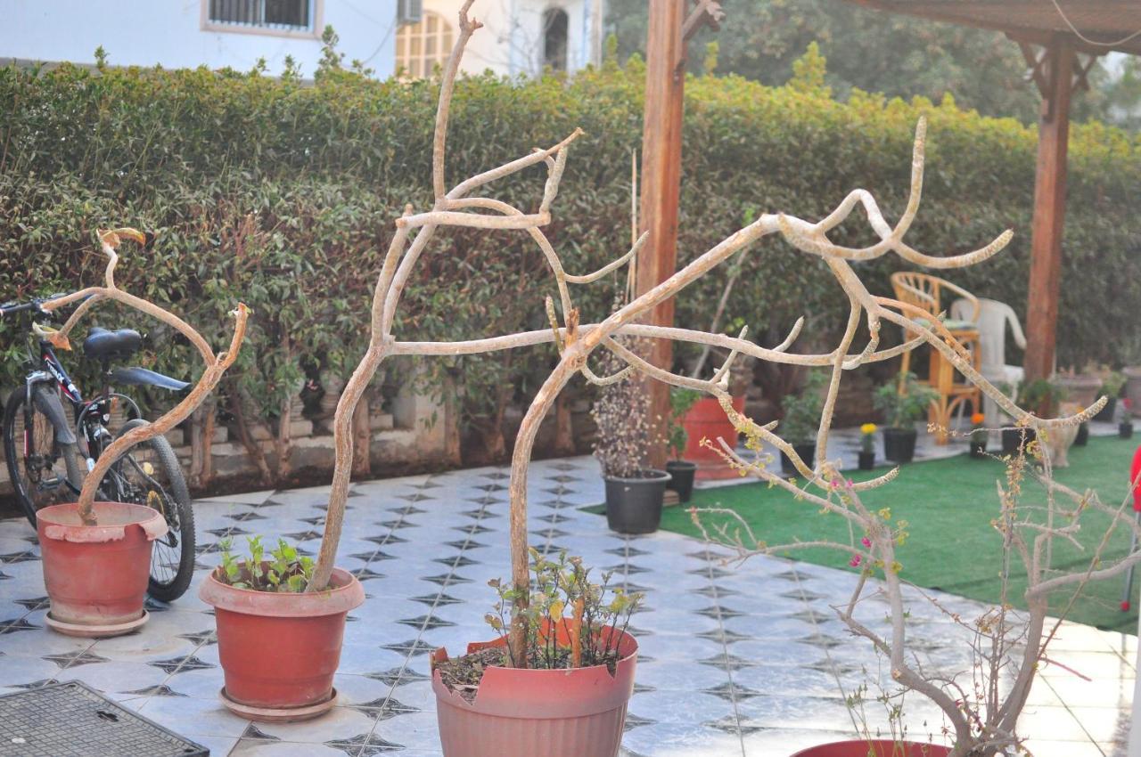 Morning Star Guesthouse Шарм ел-Шейх Екстериор снимка
